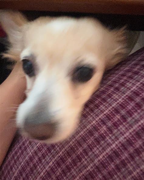 Eden Ixora | grateful 🪷 | Instagram