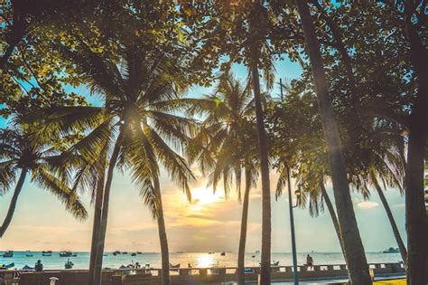 Premium Photo Summer Background With Coconut Trees And Sunset Warm