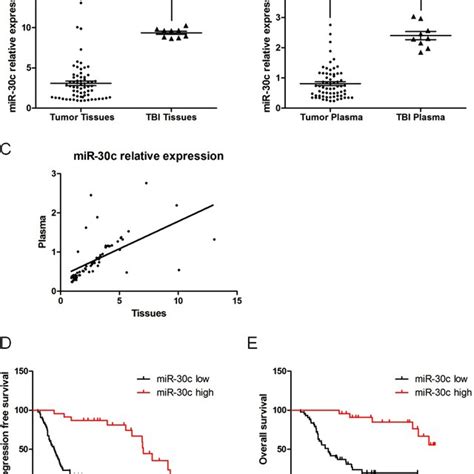 The Expression Levels Of MiR 30c In Human Glioma Tissue Preoperative