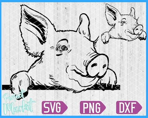 Pig Funny Face Svgpigs Svg Files For Cricut Pig Svg Filespigs Dxf