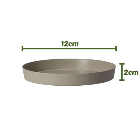 PRATO VENEZA NUDE 12cm WEST GARDEN