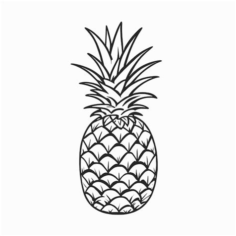 Premium Vector Pineapple Drawing Silhouette Outline Illustration