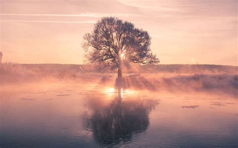 Fondos de pantalla naturaleza paisaje Árboles agua luz de sol