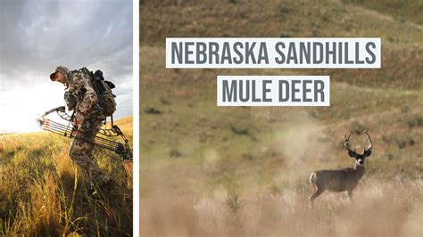 Nebraska Sandhills BIG Public Land BUCKS New Hunter Hunt 2 Nebraska