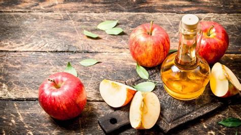 Get Rid of Gnats With Apple Cider Vinegar - Complete Guide - Pest Pit