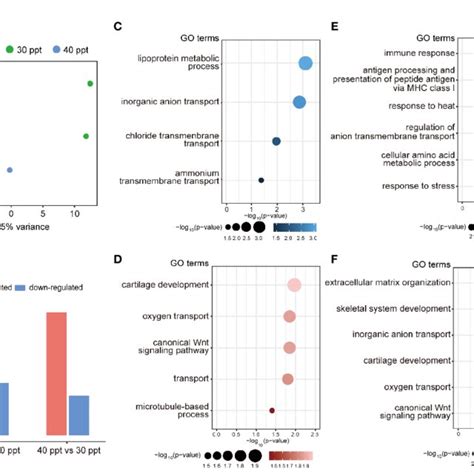 Transcriptome Dynamics Across Different Salinity In The Gills A