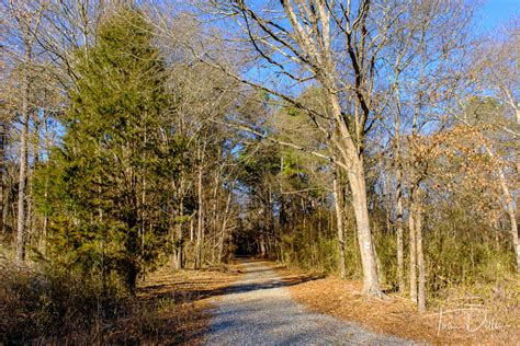 Mount Holly Trail At Mountain Island Park Tom Dills Photography Blog