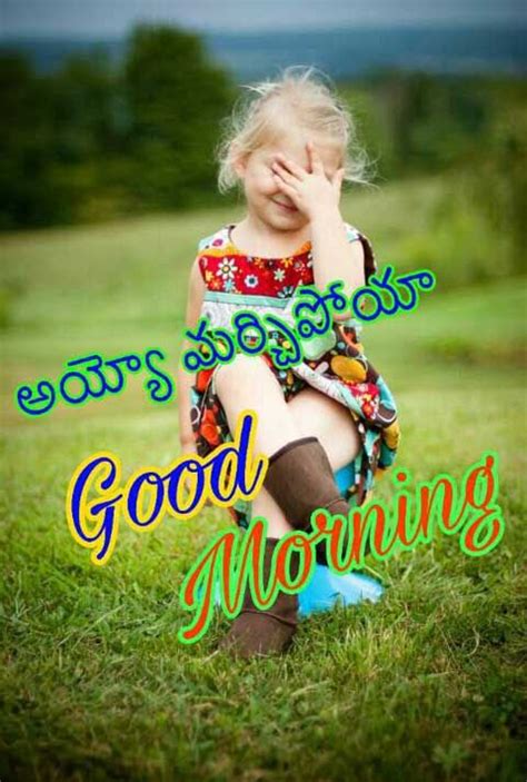 💐🌅good Morning Wishes Status🌄💐 • Sharechat Photos And Videos