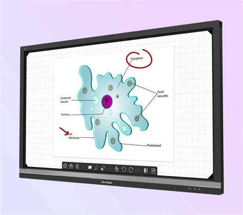 75 ViewBoard Interactive Flat Panel Education Bundle With Wall Mount