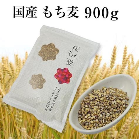 新麦 令和4年産 国産 もち麦 1kg 媛もち麦 ポイント消化 メイルオーダー