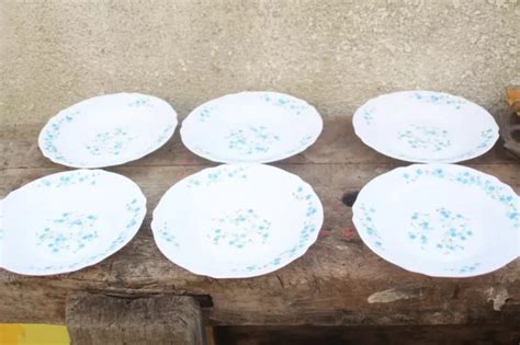 6 ASSIETTES PLATES Arcopal Vintage décor Myosotis veronica 22 23 cm EUR