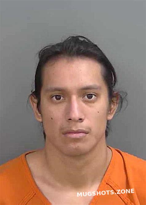 DOMINGOPEDRO MIGUEL ANGEL 10 12 2023 Collier County Mugshots Zone