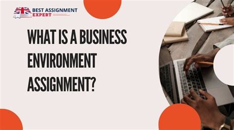 What Is A Business Environment Assignment By Best Assignment Expert Medium