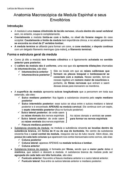 Anatomia Macrosc Pica Da Medula Espinhal E Seus Envolt Rios Anatomia