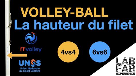 Les R Gles Du Volley Ball Hauteur Du Filet En Fonction Des Cat Gories