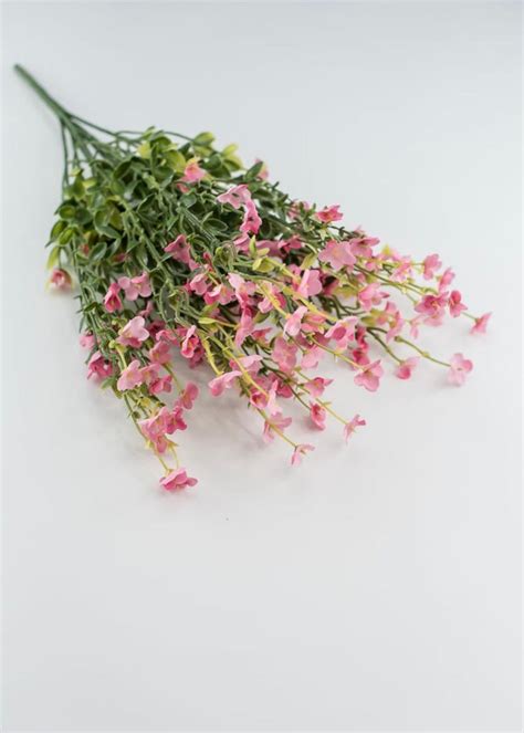 Pink Filler Flower And Greenery Bush Greenery Market