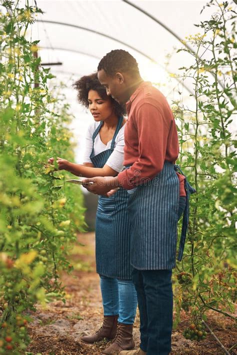 Farming Tablet And Team By Plants For Check Development And Quality