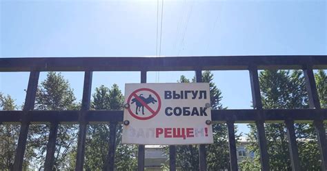 Выгул собак запРЕЩЕн | Пикабу