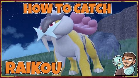 Catch Wild Raikou Indigo Disk Dlc Pokemon Scarlet And Violet Youtube