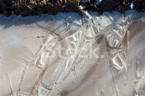 Hoarfrost On Autumn Grass Stock Photo | Royalty-Free | FreeImages