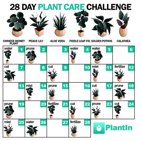 Tired of managing your plant care calendar? | Plants, Plant care, Easy ...