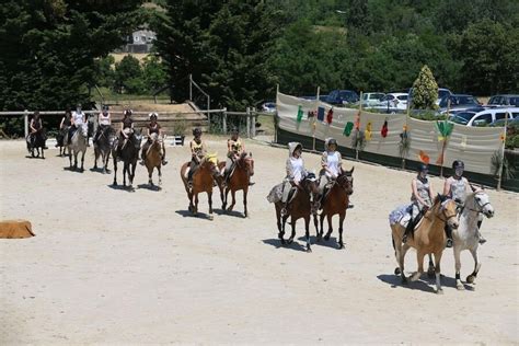 Activit S Questres Au Haras De Bressac Activit S Sportives Saint