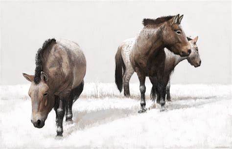 Ice Age Horses - tombjorklund.fi