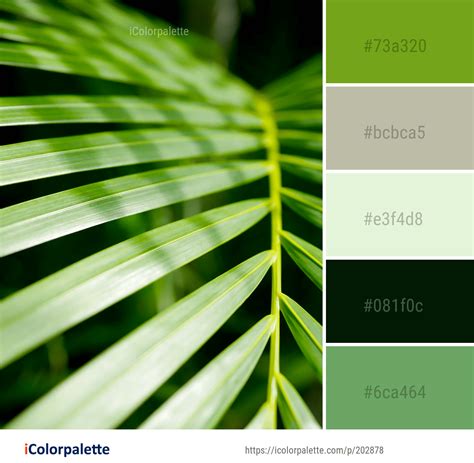 Color Palette Ideas From Leaf Green Vegetation Image Icolorpalette