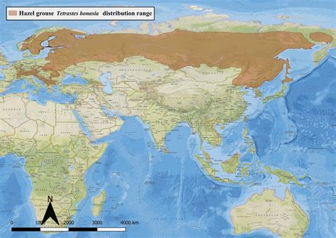 hazel grouse distribution range data retrieved  birdlife