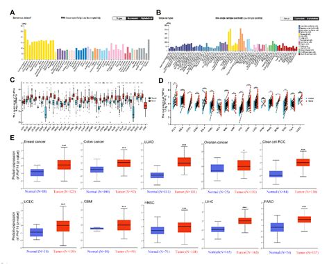 Figure 1 From A Comprehensive Pan Cancer Analysis Unveiling The