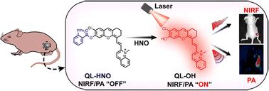 An Activatable Fluorescent Photoacoustic Dual Modal Probe For Highly