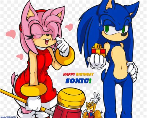 Amy Rose Sonic The Hedgehog Tails Shadow The Hedgehog Metal Sonic Png