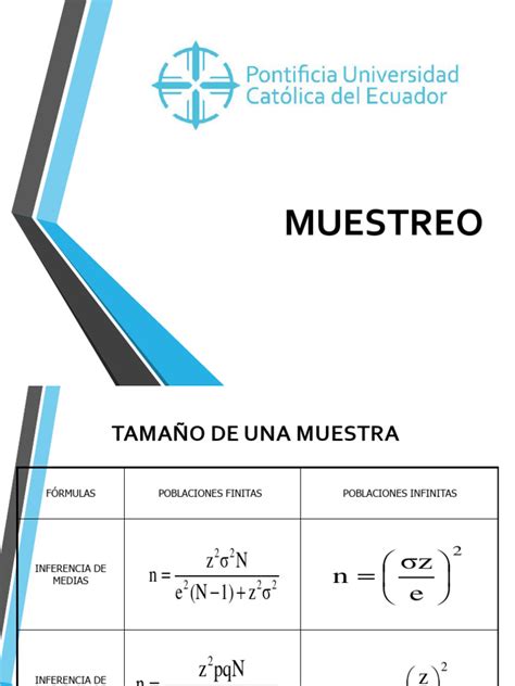 Muestreo Descargar Gratis Pdf Muestreo Estadísticas Metodología