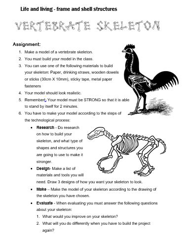 Grade Natural Science And Technology Assessments Term Juffrou