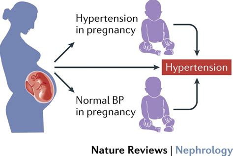 Cover Story Gestational Hypertension And Preeclampsia