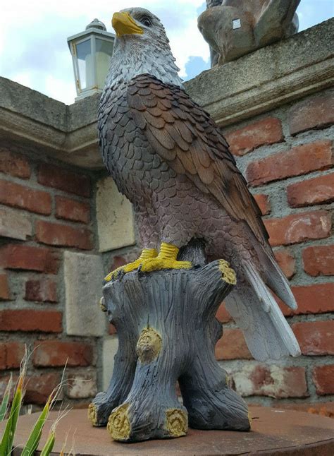 Wei Kopf Seeadler Auf Fels Wings Of Glory Bunt Gartenfigur Adler