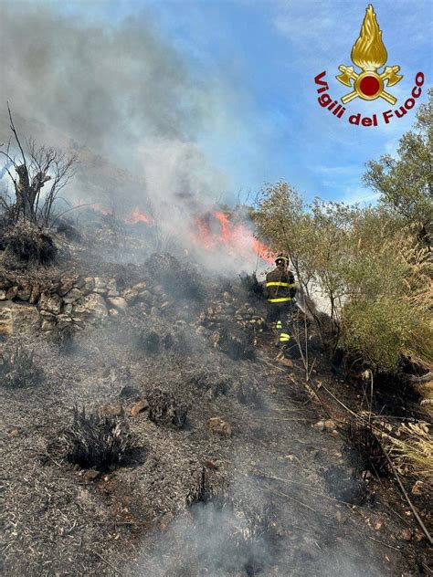 Vasto Incendio Boschivo A Venafro Tre Mezzi Aerei In Azione