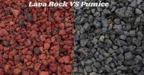 Pumice vs Lava Rock (What to Pick for Your Gardening Needs)