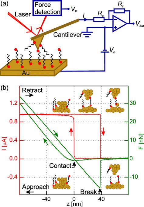 A Schematic Drawing Of The C AFM Setup And Amplifier Both The Sample