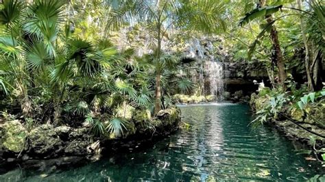 Ni O Muri Tras Ser Succionado Por Filtro De Agua En Parque Xcaret