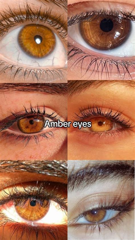 Pin By Estela On Yo🤎🌸🌼💌 🫶🏽 In 2024 Pretty Eyes Pretty Eyes Color Amber Eyes