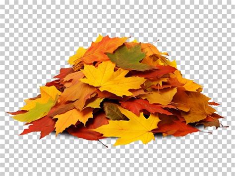 Tas de feuilles d automne isolé sur fond transparent png psd PSD Premium