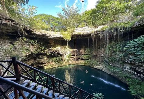 Cenote Saamal Cómo llegar Horario Precio Guía 2024