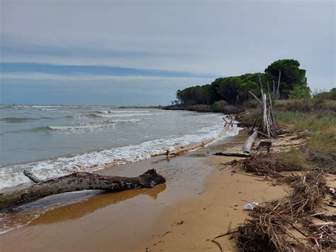 Difesa Dei Litorali Avviati I Lavori Al Faro Di Bibione Bottacin