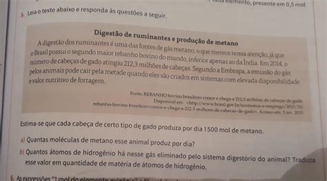 Leia O Texto E Responda As Quest Es Texto Exemplo