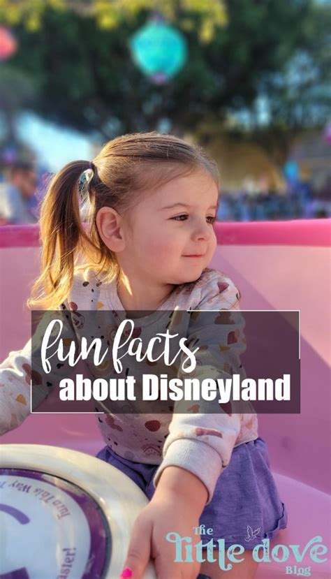 Facts About Disneyland You May Not Know Little Dove Blog