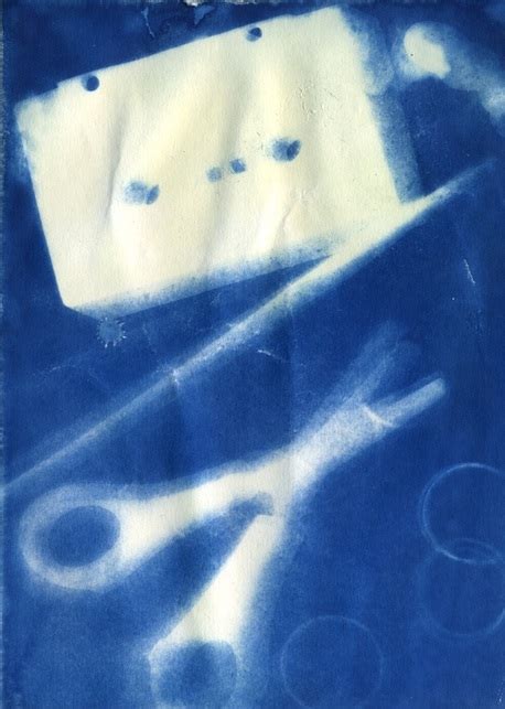 Cyanotypes Jamie Flejou Gcse Photography