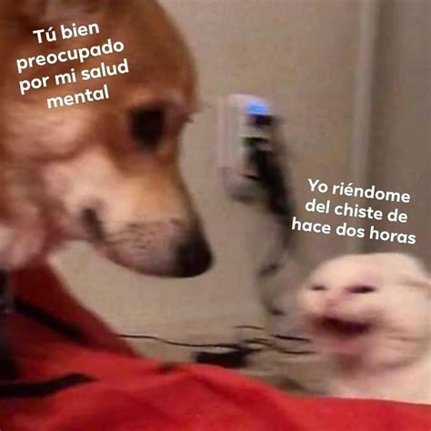 perritos que curan tu depresión on Twitter Hola gatitos qctd https