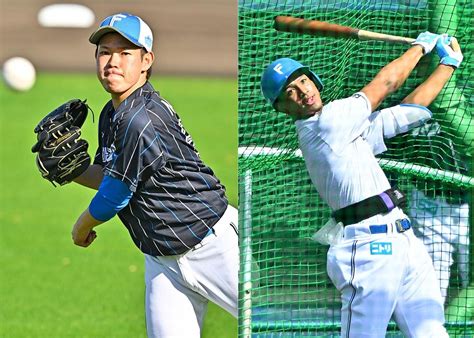 根本and万波が侍ジャパン最終候補メンバー入り 3月の欧州代表戦 道新スポーツ Doshin Sports