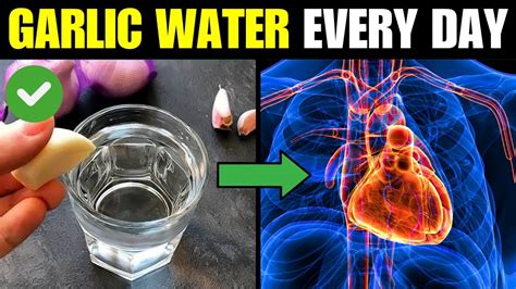 What Happens To Your Body When You Drink A Glass Of Garlic Water Every